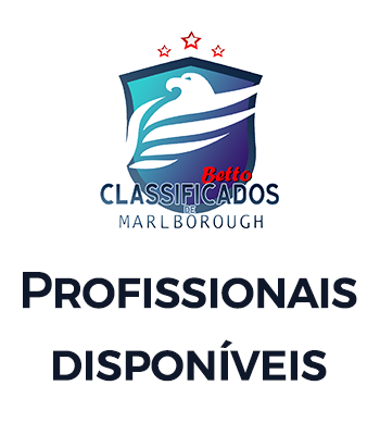 IMG PROFISIONAIS PNG